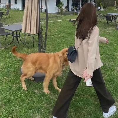 传世宝藏