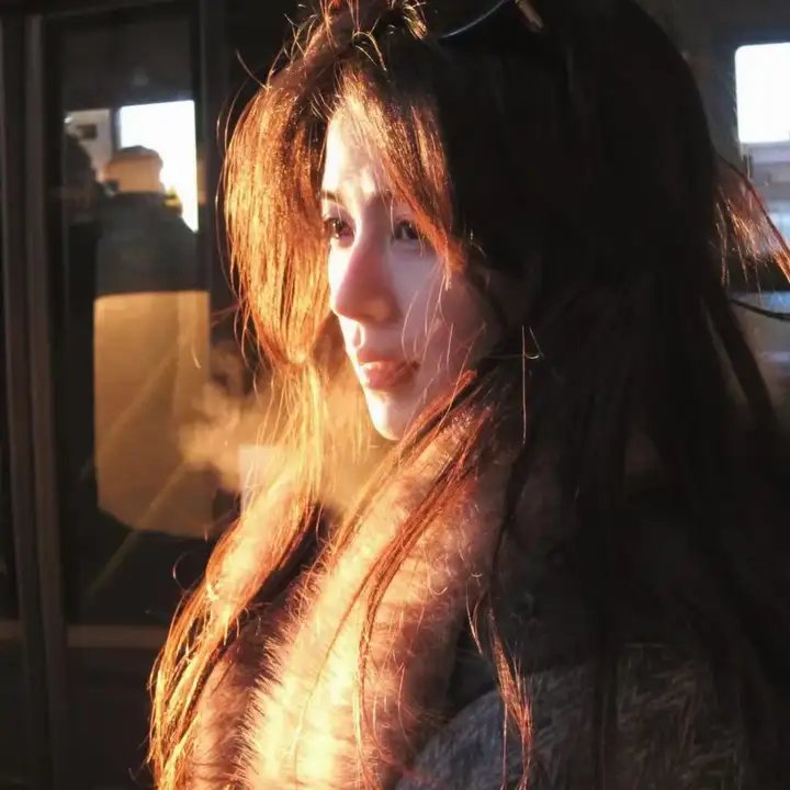 哥斯拉对机械哥斯拉